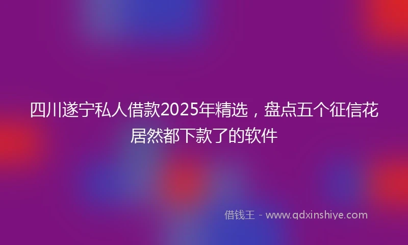 四川遂宁私人借款2025年精选，盘点五个征信花居然都下款了的软件