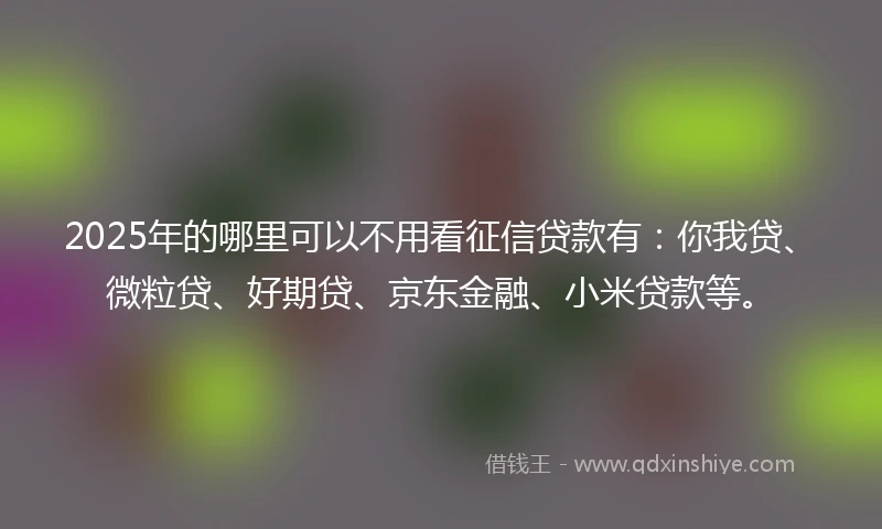 2025年的哪里可以不用看征信贷款有：你我贷、微粒贷、好期贷、京东金融、小米贷款等。