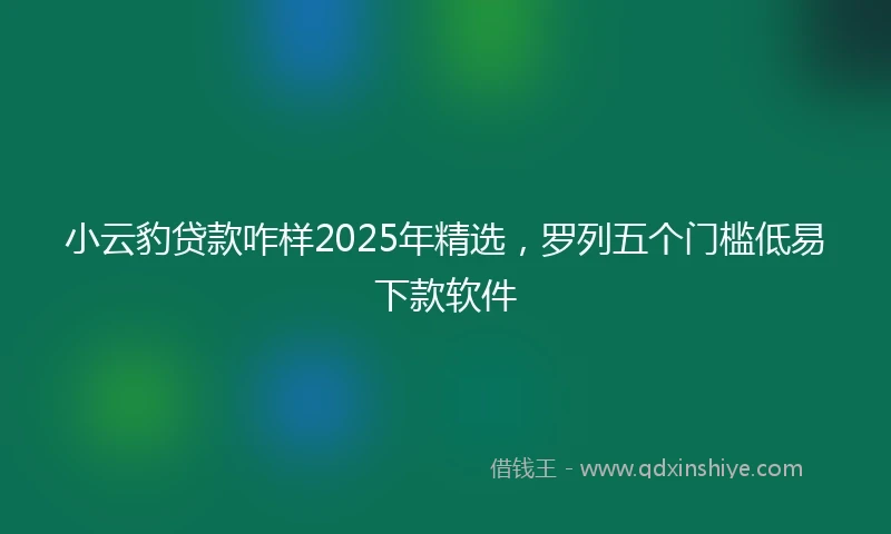 小云豹贷款咋样2025年精选，罗列五个门槛低易下款软件