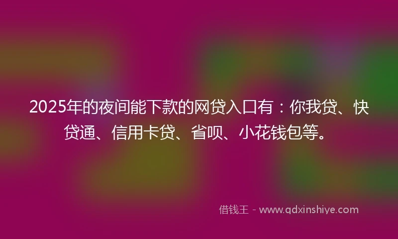 2025年的夜间能下款的网贷入口有：你我贷、快贷通、信用卡贷、省呗、小花钱包等。