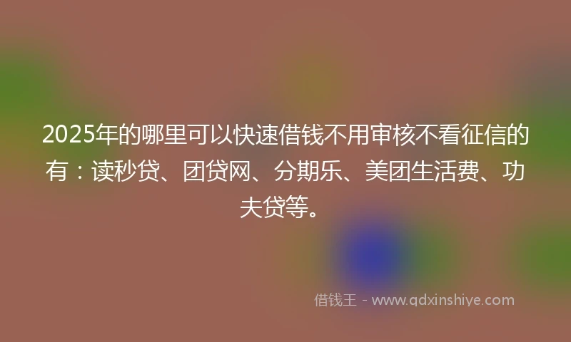 2025年的哪里可以快速借钱不用审核不看征信的有：读秒贷、团贷网、分期乐、美团生活费、功夫贷等。