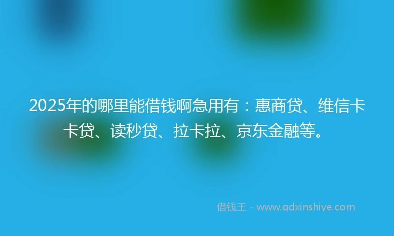 2025年的哪里能借钱啊急用有：惠商贷、维信卡卡贷、读秒贷、拉卡拉、京东金融等。