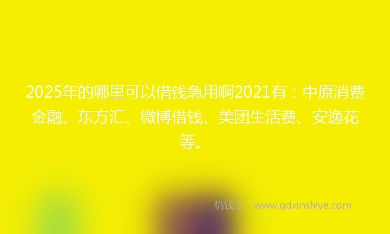 2025年的哪里可以借钱急用啊2021有：中原消费金融、东方汇、微博借钱、美团生活费、安逸花等。