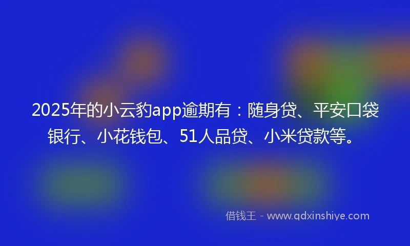 2025年的小云豹app逾期有：随身贷、平安口袋银行、小花钱包、51人品贷、小米贷款等。