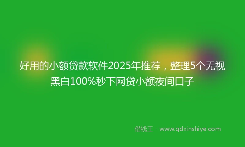 好用的小额贷款软件2025年推荐，整理5个无视黑白100%秒下网贷小额夜间口子