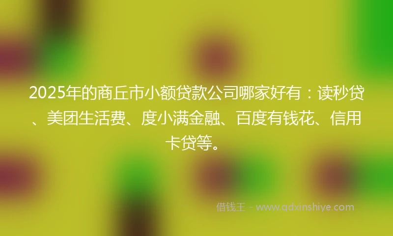 2025年的商丘市小额贷款公司哪家好有：读秒贷、美团生活费、度小满金融、百度有钱花、信用卡贷等。