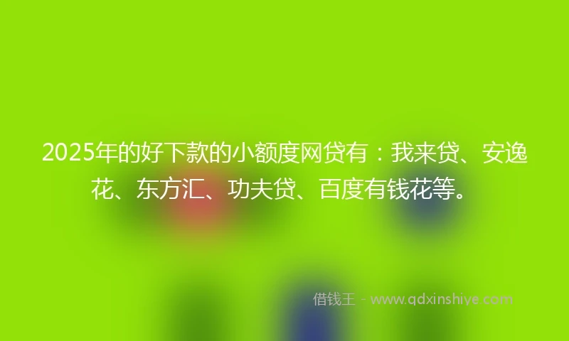 2025年的好下款的小额度网贷有：我来贷、安逸花、东方汇、功夫贷、百度有钱花等。
