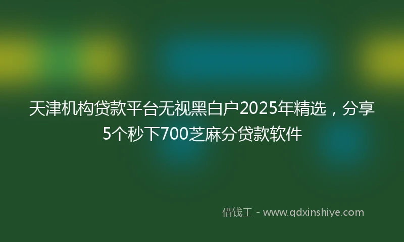 天津机构贷款平台无视黑白户2025年精选，分享5个秒下700芝麻分贷款软件