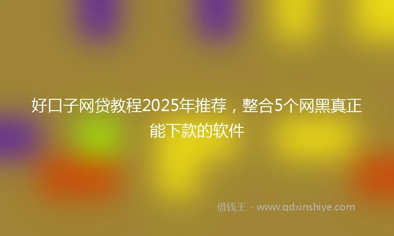 好口子网贷教程2025年推荐，整合5个网黑真正能下款的软件