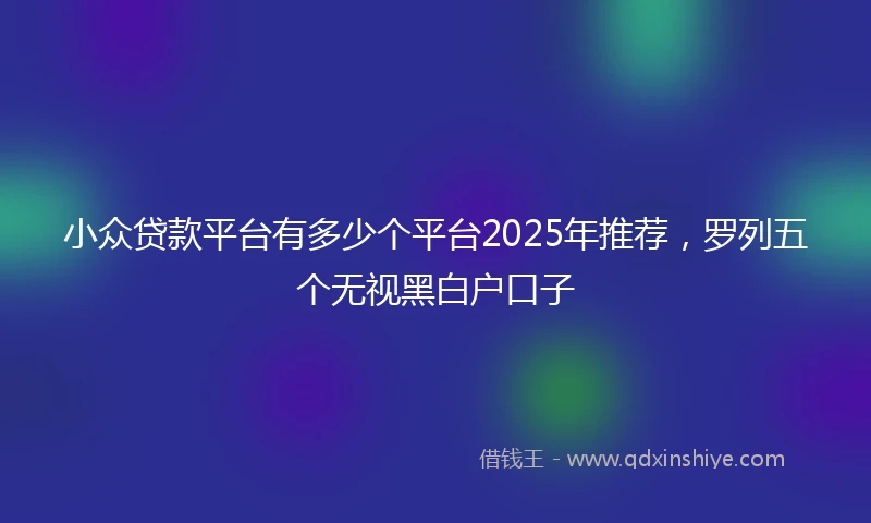 小众贷款平台有多少个平台2025年推荐，罗列五个无视黑白户口子