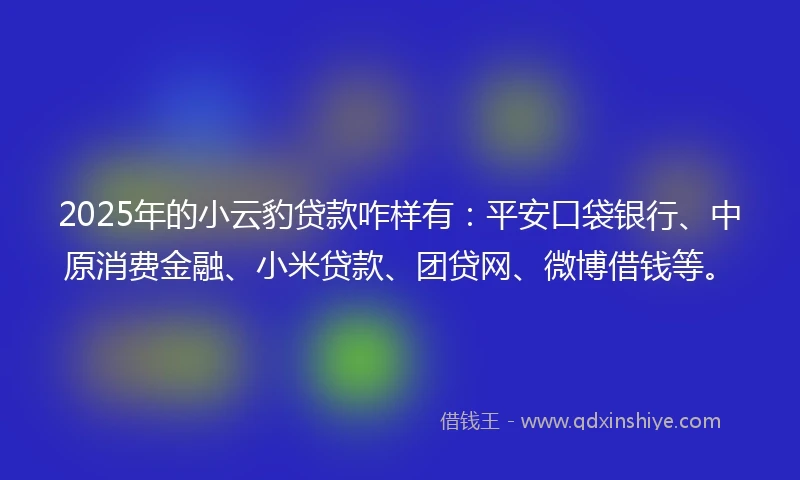 2025年的小云豹贷款咋样有：平安口袋银行、中原消费金融、小米贷款、团贷网、微博借钱等。
