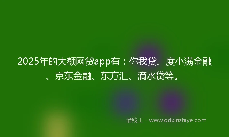 2025年的大额网贷app有:你我贷、度小满金融、京东金融、东方汇、滴水贷等。