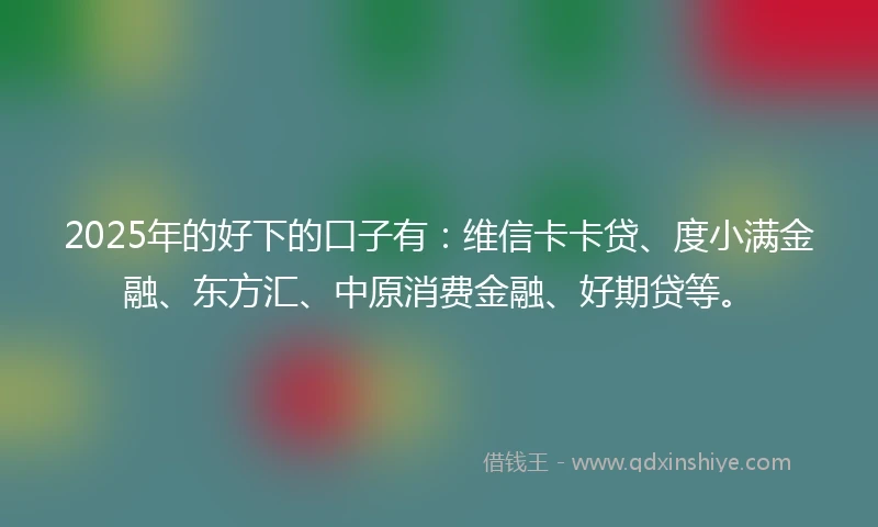 2025年的好下的口子有：维信卡卡贷、度小满金融、东方汇、中原消费金融、好期贷等。