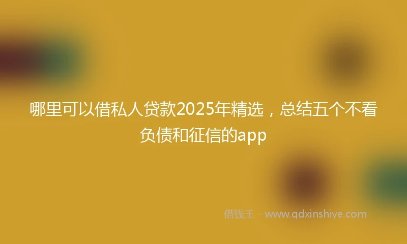 哪里可以借私人贷款2025年精选，总结五个不看负债和征信的app