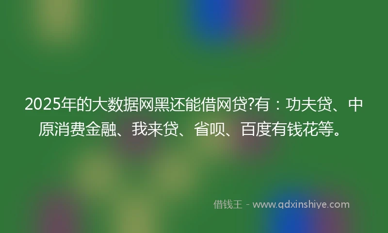 2025年的大数据网黑还能借网贷?有：功夫贷、中原消费金融、我来贷、省呗、百度有钱花等。