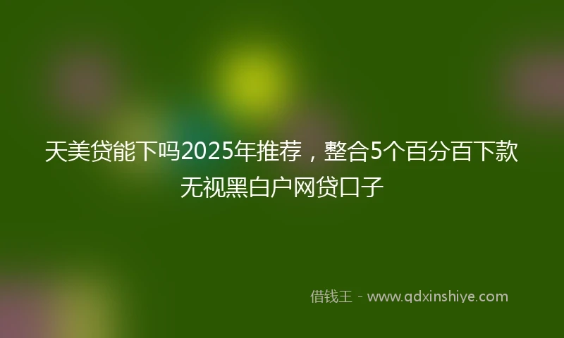 天美贷能下吗2025年推荐，整合5个百分百下款无视黑白户网贷口子