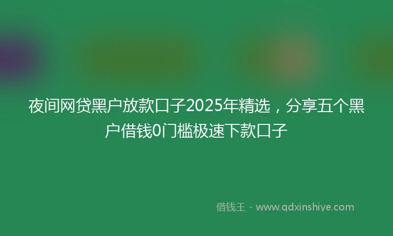 夜间网贷黑户放款口子2025年精选，分享五个黑户借钱0门槛极速下款口子