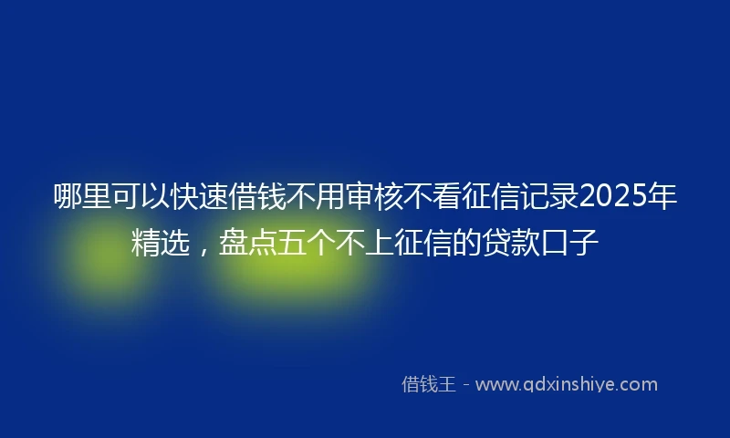 哪里可以快速借钱不用审核不看征信记录2025年精选，盘点五个不上征信的贷款口子