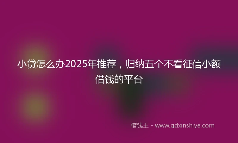小贷怎么办2025年推荐，归纳五个不看征信小额借钱的平台