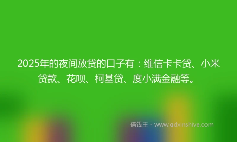 2025年的夜间放贷的口子有：维信卡卡贷、小米贷款、花呗、柯基贷、度小满金融等。