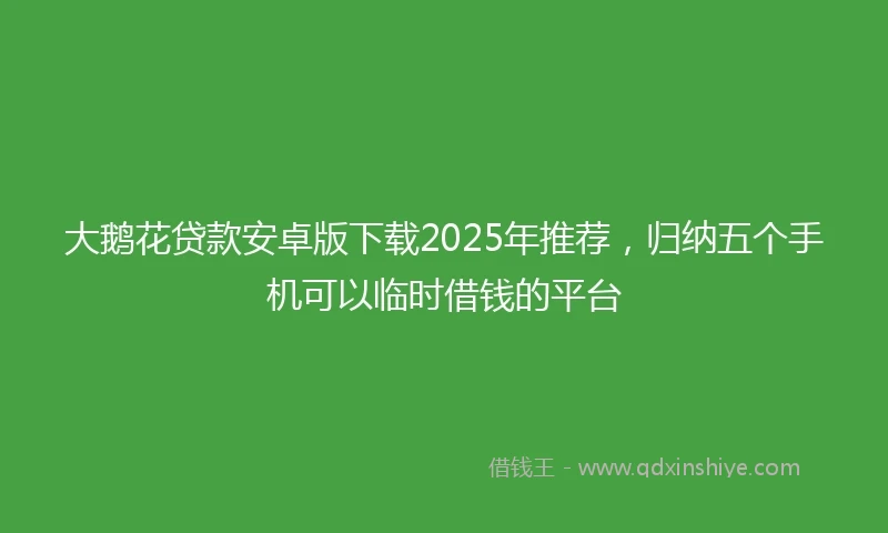 大鹅花贷款安卓版下载2025年推荐，归纳五个手机可以临时借钱的平台