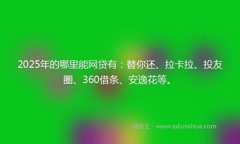 2025年的哪里能网贷有：替你还、拉卡拉、投友圈、360借条、安逸花等。