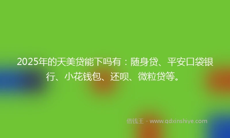 2025年的天美贷能下吗有：随身贷、平安口袋银行、小花钱包、还呗、微粒贷等。