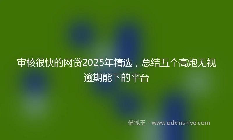 审核很快的网贷2025年精选，总结五个高炮无视逾期能下的平台