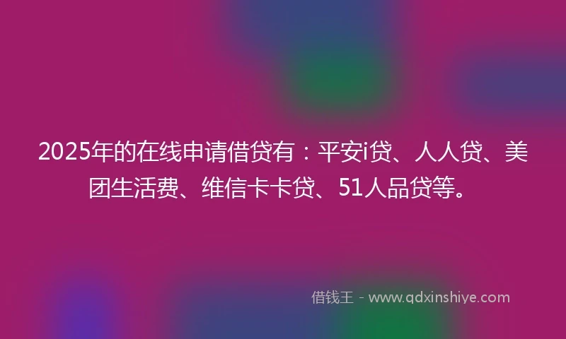 2025年的在线申请借贷有：平安i贷、人人贷、美团生活费、维信卡卡贷、51人品贷等。