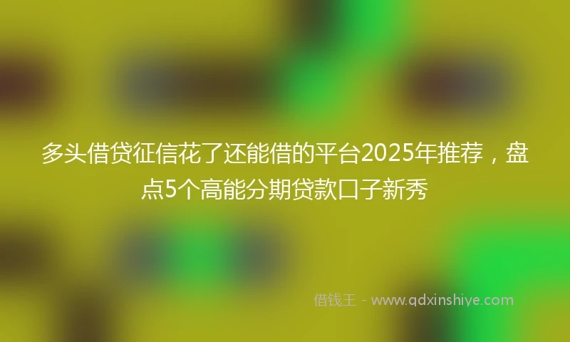 多头借贷征信花了还能借的平台2025年推荐，盘点5个高能分期贷款口子新秀