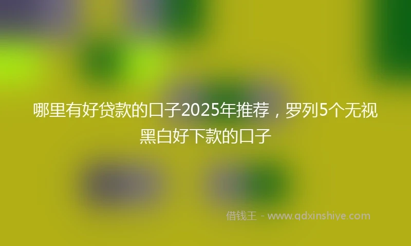 哪里有好贷款的口子2025年推荐，罗列5个无视黑白好下款的口子
