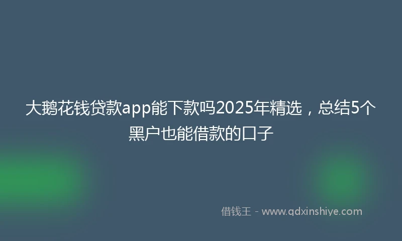 大鹅花钱贷款app能下款吗2025年精选，总结5个黑户也能借款的口子