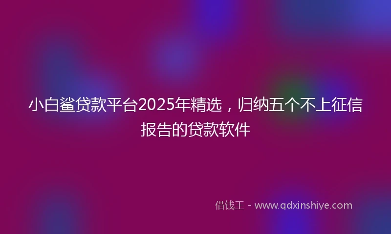 小白鲨贷款平台2025年精选，归纳五个不上征信报告的贷款软件