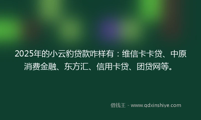 2025年的小云豹贷款咋样有：维信卡卡贷、中原消费金融、东方汇、信用卡贷、团贷网等。