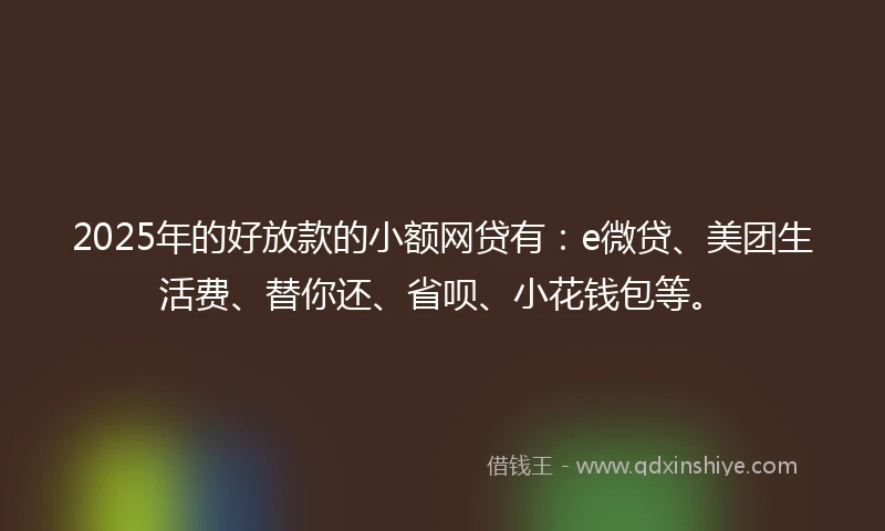 2025年的好放款的小额网贷有：e微贷、美团生活费、替你还、省呗、小花钱包等。