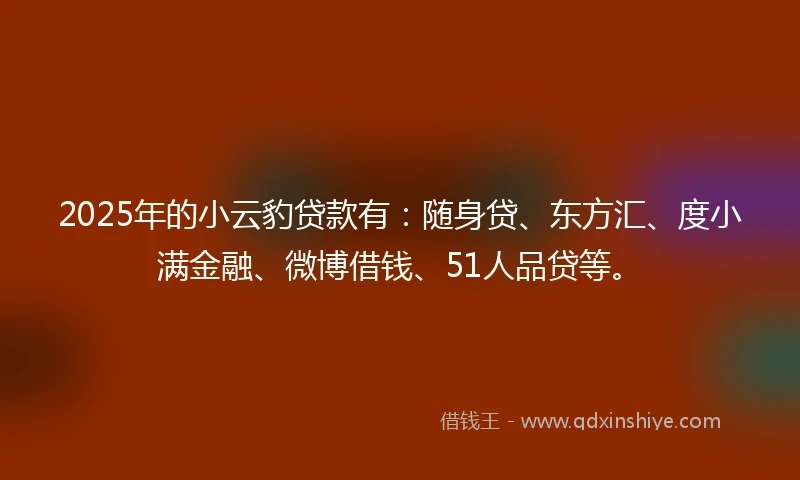 2025年的小云豹贷款有：随身贷、东方汇、度小满金融、微博借钱、51人品贷等。