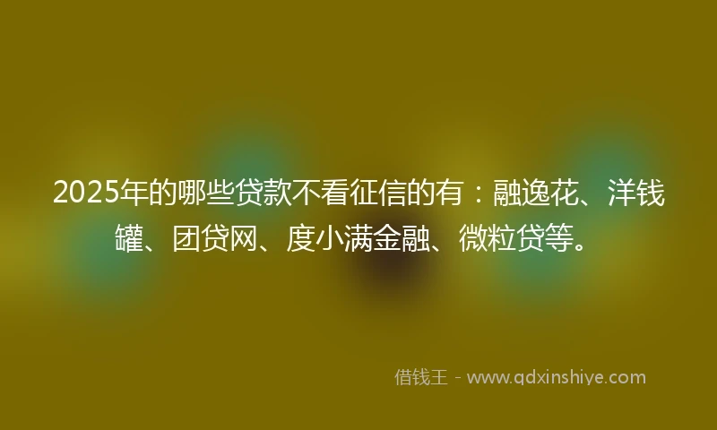 2025年的哪些贷款不看征信的有：融逸花、洋钱罐、团贷网、度小满金融、微粒贷等。