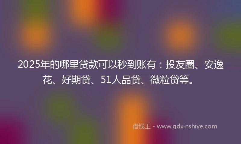 2025年的哪里贷款可以秒到账有：投友圈、安逸花、好期贷、51人品贷、微粒贷等。