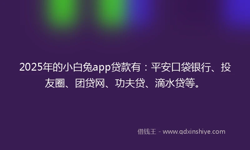 2025年的小白兔app贷款有：平安口袋银行、投友圈、团贷网、功夫贷、滴水贷等。