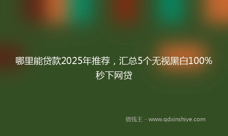 哪里能贷款2025年推荐，汇总5个无视黑白100%秒下网贷