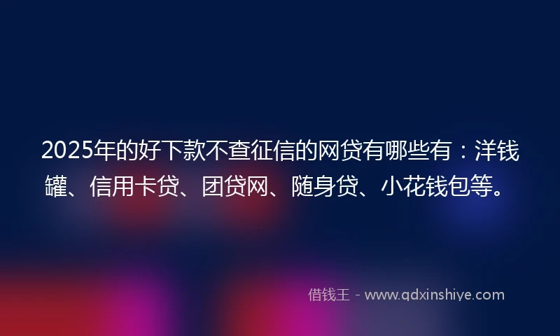 2025年的好下款不查征信的网贷有哪些有：洋钱罐、信用卡贷、团贷网、随身贷、小花钱包等。