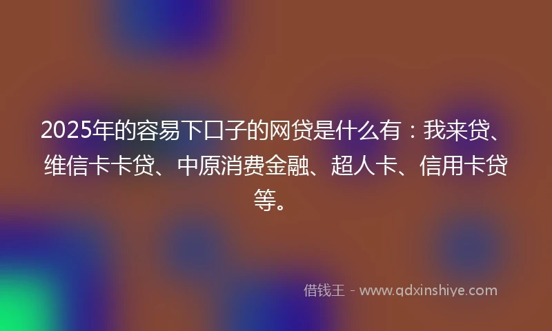 2025年的容易下口子的网贷是什么有：我来贷、维信卡卡贷、中原消费金融、超人卡、信用卡贷等。