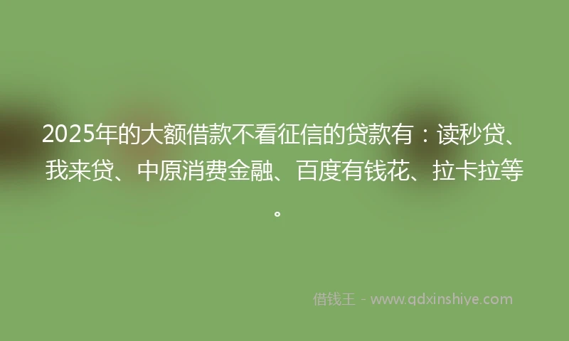 2025年的大额借款不看征信的贷款有：读秒贷、我来贷、中原消费金融、百度有钱花、拉卡拉等。