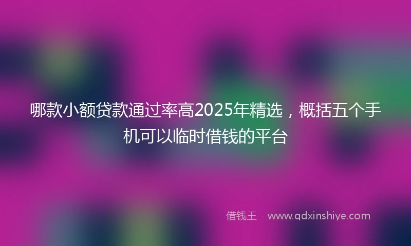 哪款小额贷款通过率高2025年精选，概括五个手机可以临时借钱的平台