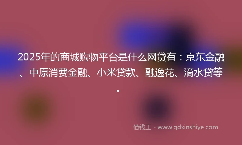 2025年的商城购物平台是什么网贷有：京东金融、中原消费金融、小米贷款、融逸花、滴水贷等。