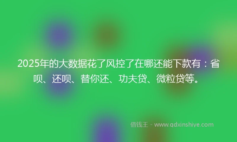 2025年的大数据花了风控了在哪还能下款有：省呗、还呗、替你还、功夫贷、微粒贷等。