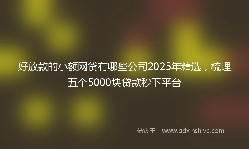 好放款的小额网贷有哪些公司2025年精选，梳理五个5000块贷款秒下平台