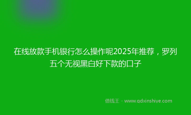 在线放款手机银行怎么操作呢2025年推荐，罗列五个无视黑白好下款的口子