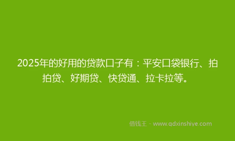 2025年的好用的贷款口子有：平安口袋银行、拍拍贷、好期贷、快贷通、拉卡拉等。