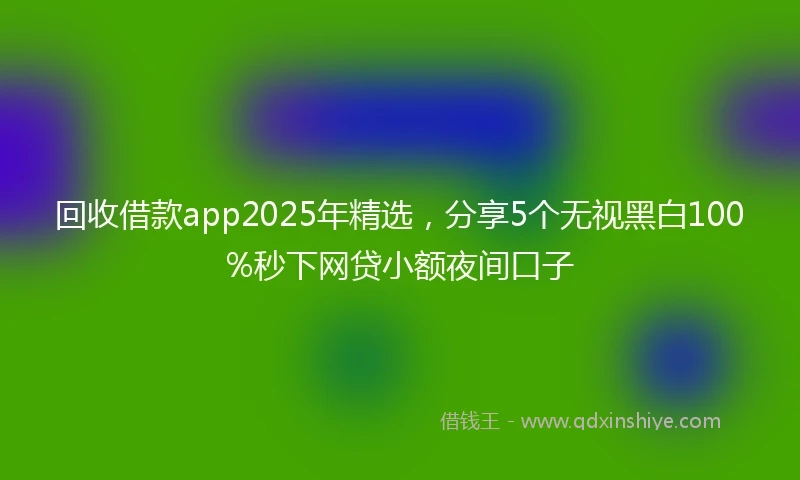 回收借款app2025年精选，分享5个无视黑白100%秒下网贷小额夜间口子